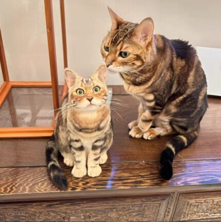 Custom Pet Wool Felt: Full-Body Squat Pose