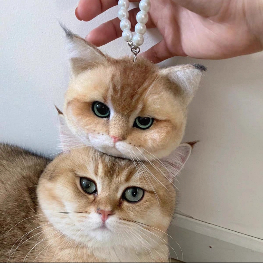 微信图片_20251113123733_67_2